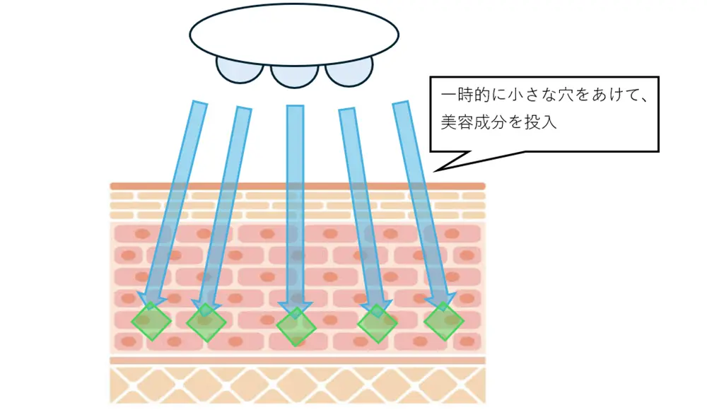 エレクトロポーションの仕組み