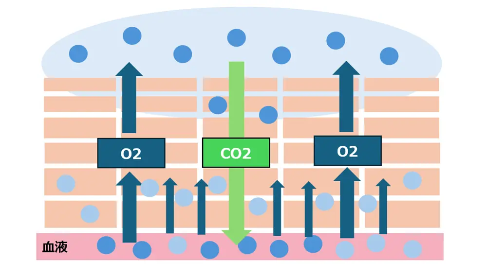 CO2炭酸パックのメカニズム